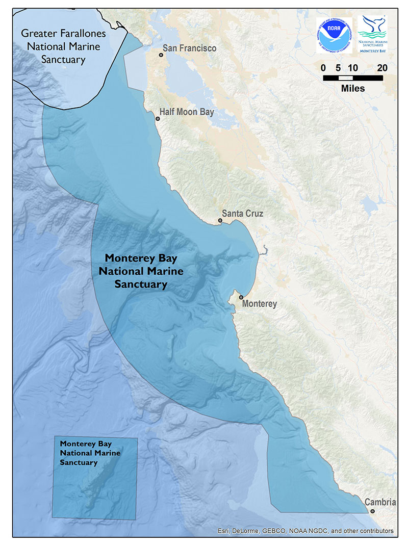 map of Monterey Bay National Marine Sanctuary, including Davidson Seamount Management Zone