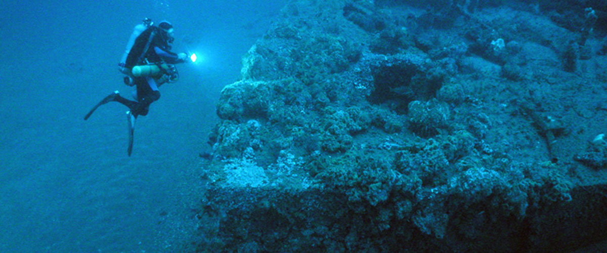 photo of monitor wreck and diver