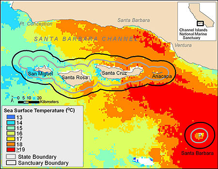 Illustration of the climate temperature change in the pacific ocean