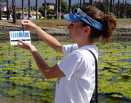 photo of a student performing a water quality test