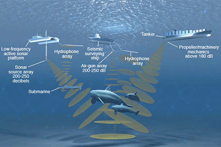 diagram showing examples of noise in the ocean and instruments that measure noise levels