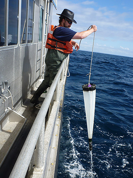 researcher collecting phytoplankton from the side of a ship