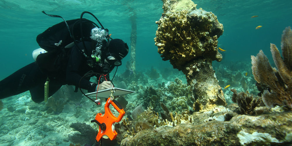 diver documenting wreck
