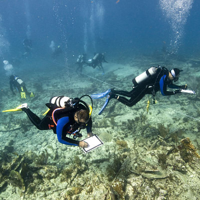 divers writing on clipboard