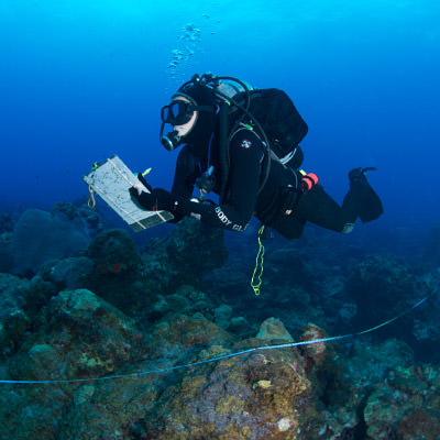 diver writing on clipboard