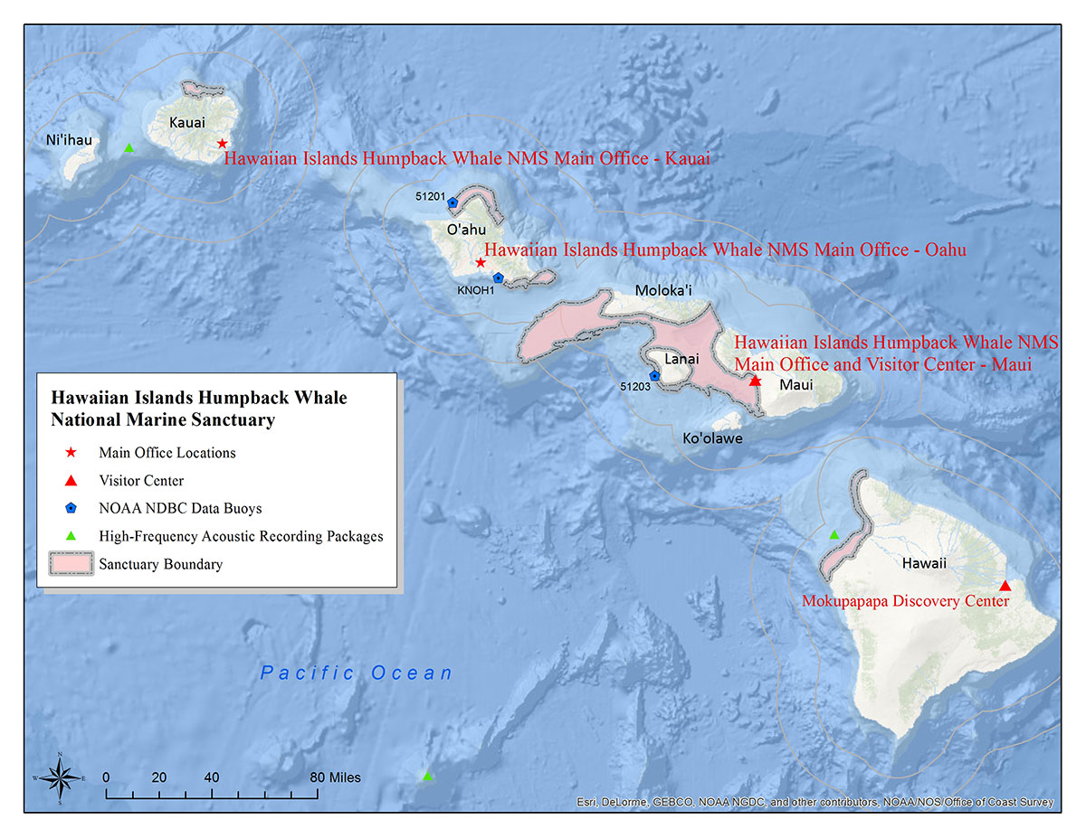 Hawaiian Islands Humpback Whale sentinel site map