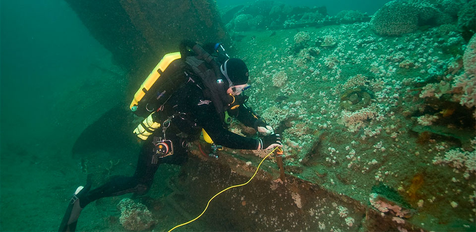 photo of diver inspecting the monitor