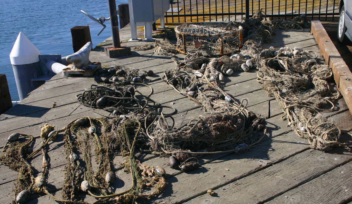 photo of fishing gear pulled out of the water