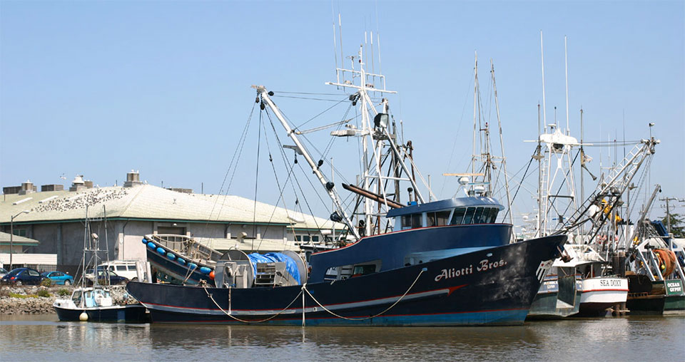 photo of a commercial fishing vessel