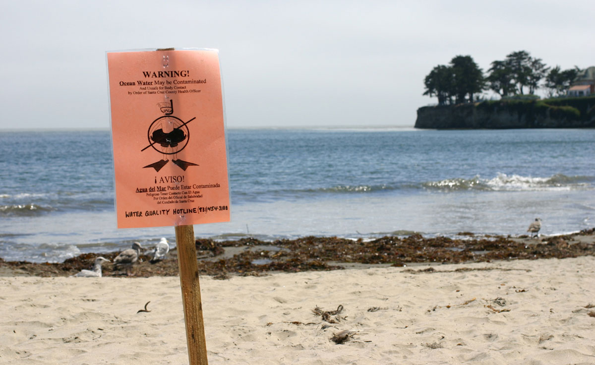 photo of beach with a warning sign