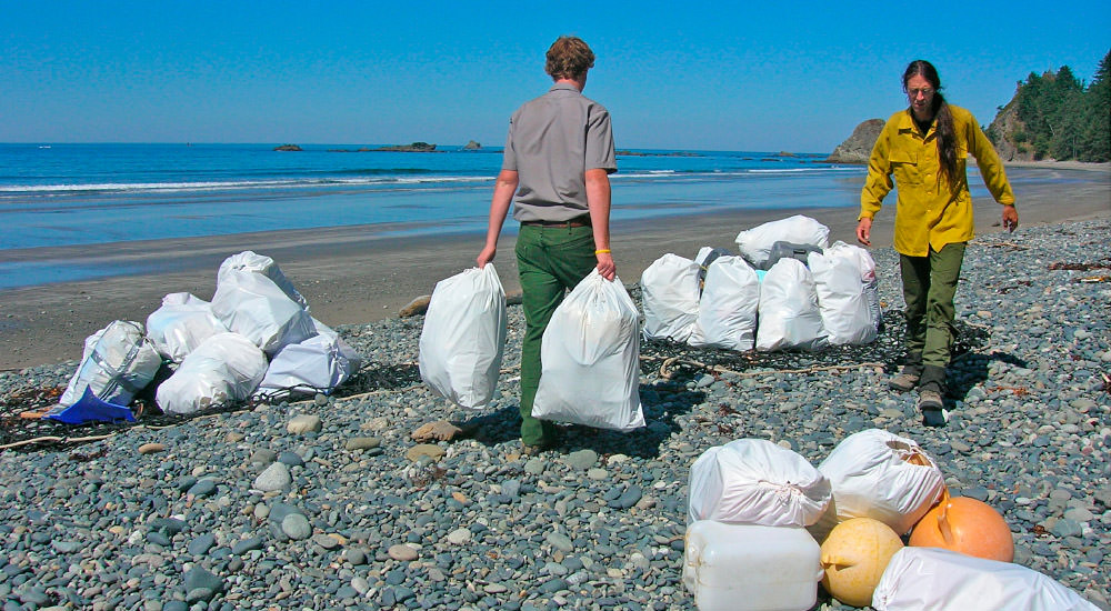 volunteers removing many bags of marine debris from the beach