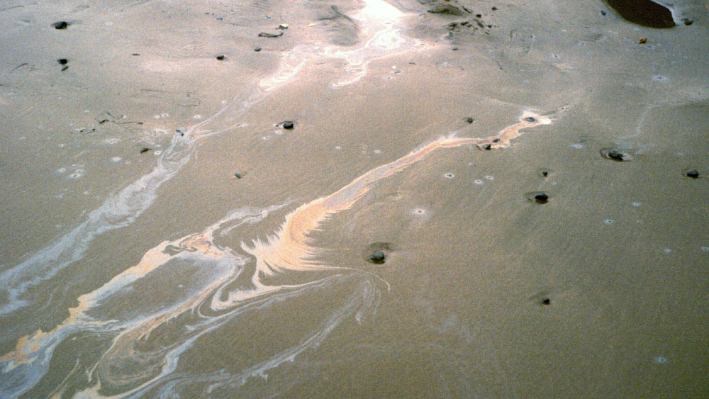 sandy beach covered with oil spots