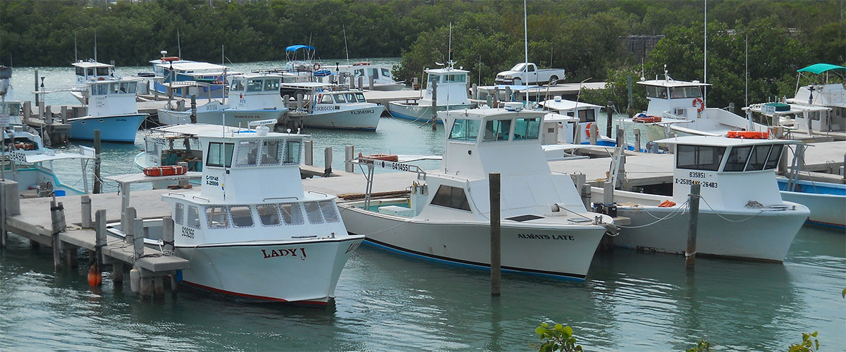 photo of commercial fishing boats