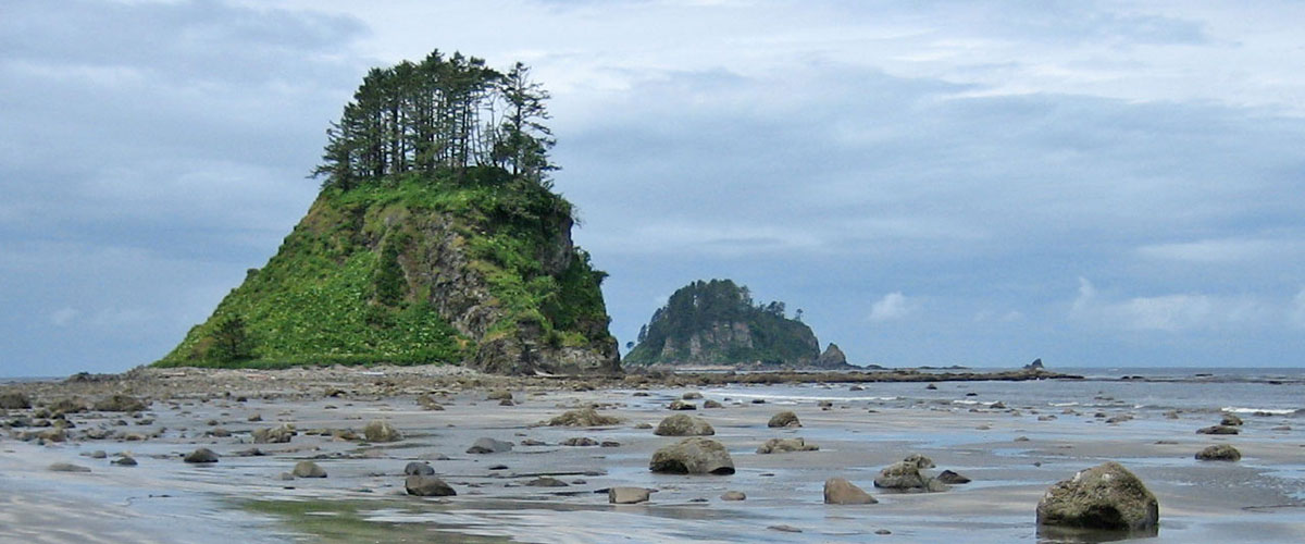 photo of rocks, cliffs and a beach in olympic coast