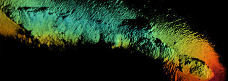 CodaOctopus 3-D Echoscope sonar sonar downward view of the SS City of Rio De Janeiro