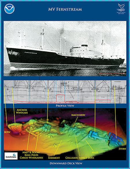 Coda Octopus 3-D Echoscope sonar images of the shipwreck MV Fernstream