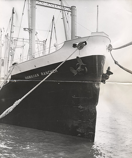 SS Hawaiian Rancher moored at the dock in San Francisco, the bow appeared only slightly damaged