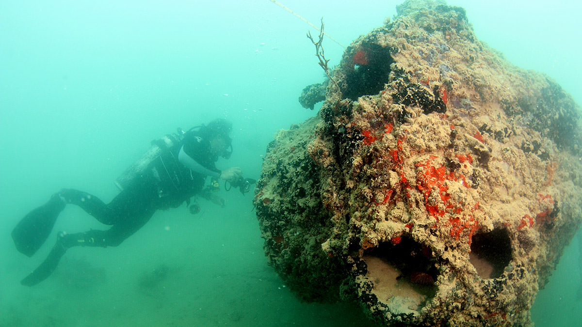 diver examining the pby-5 wreck