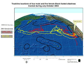 Trackline locations of four male and five female black-footed albatross tracked during July-October 2004