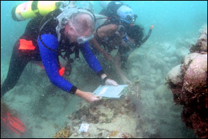 diver surveying