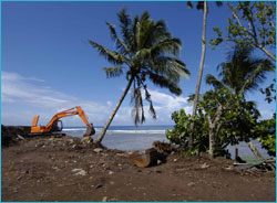 excavator clearing land near coastline