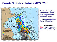 right whale distribution 1979 to 2004