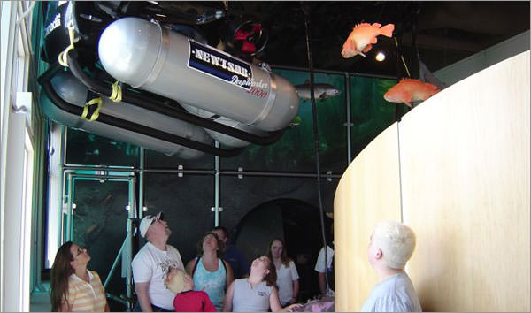 people looking up at a submersible hanging from the ceiling
