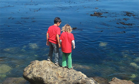picture of 2 children watching wildlife in a tidepool