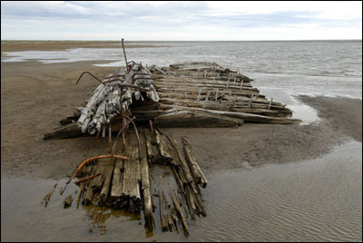 Point Franklin Shipwreck on beach