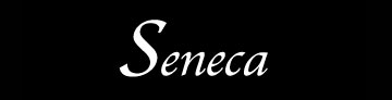 Seneca shipwreck